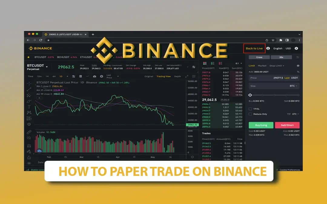 https://altrady-strapi.s3.eu-west-1.amazonaws.com/how_to_paper_trade_on_binance_8842ca9a11.webp