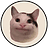 Logo Beluga Cat