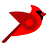 Logo Bird.Money