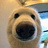 Logo BOOP
