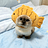 Logo Fish Cat