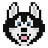 Logo Hosky