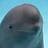 Logo Smiling Dolphin