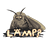 Logo Moth