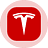 Logo Tesla (Ondo Tokenized Stock)