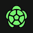 Logo Turtle