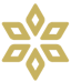 Logo Spores Network