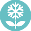 Logo SnowBlossom