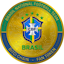 Logo Brazil National Football Team Fan Token